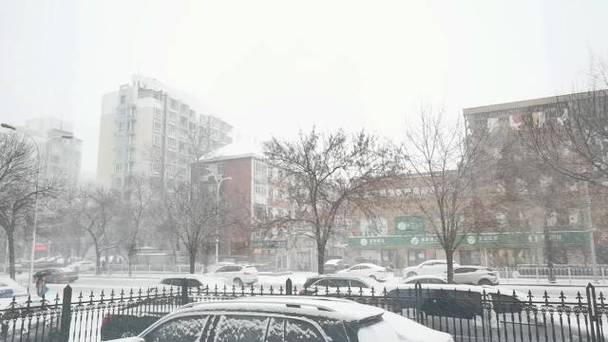 南平下雪的地方有哪些?蒲城今天的天气情况-图2 南平下雪的地方有哪些?蒲城今天的天气情况-图2