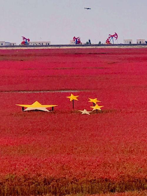 盘锦红海滩穿什么衣服最好?盘锦红海滩天气情况-图2 盘锦红海滩穿什么衣服最好?盘锦红海滩天气情况-图2