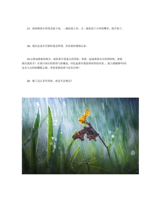 下雨天开会文案?会议天气情况怎么写-图3 下雨天开会文案?会议天气情况怎么写-图3
