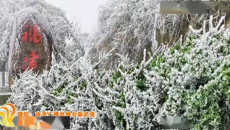 南平下雪的地方有哪些?南平今天的天气情况-图2 南平下雪的地方有哪些?南平今天的天气情况-图2