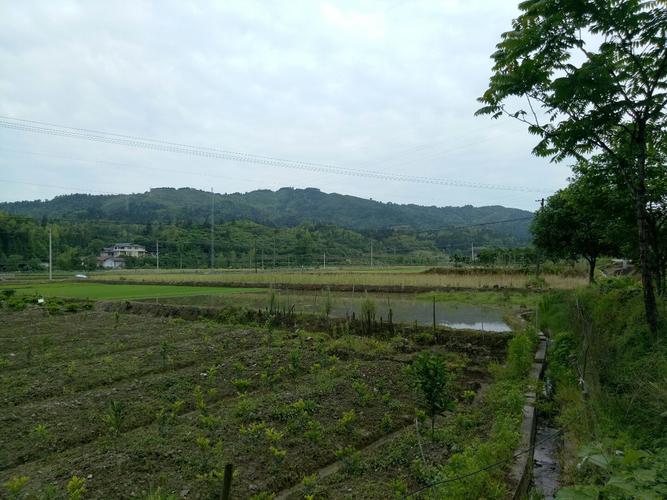 洪江市属于哪个省?溆浦中都乡天气情况-图2 洪江市属于哪个省?溆浦中都乡天气情况-图2