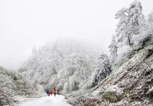 元旦清远能看雪吗?春节清远的天气情况-图3 元旦清远能看雪吗?春节清远的天气情况-图3