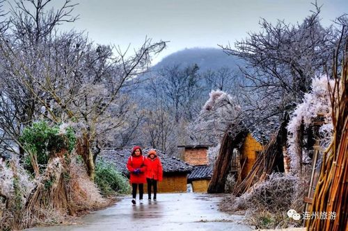 元旦清远能看雪吗?春节清远的天气情况-图2 元旦清远能看雪吗?春节清远的天气情况-图2