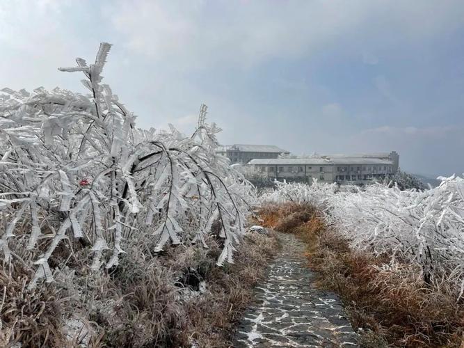 上虞覆卮山下雪了吗?上虞这周天气情况-图2 上虞覆卮山下雪了吗?上虞这周天气情况-图2