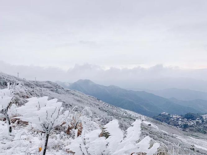 上虞覆卮山下雪了吗?上虞这周天气情况-图3 上虞覆卮山下雪了吗?上虞这周天气情况-图3