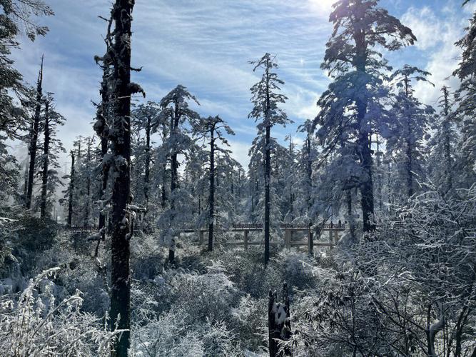 瓦屋山风景区开园时间?瓦屋山实时天气情况-图2 瓦屋山风景区开园时间?瓦屋山实时天气情况-图2