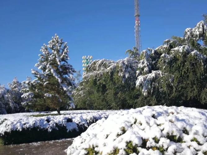哪些地方在下雪?东陵区天气情况-图2 哪些地方在下雪?东陵区天气情况-图2