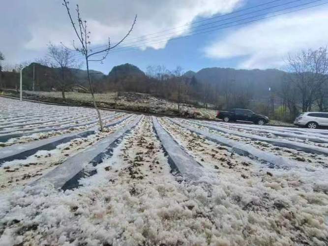 重庆巫山今天下冰雹了吗?巫山今天的天气情况-图2 重庆巫山今天下冰雹了吗?巫山今天的天气情况-图2