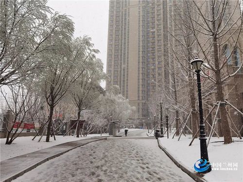 衢州七里下雪了吗？兰州七里天气情况