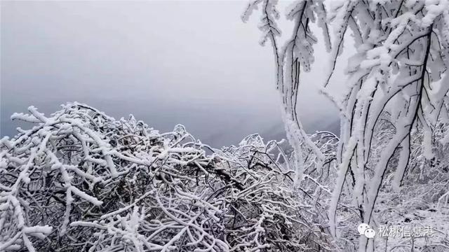 关于遵义的省情汇报?务川冬天天气情况-图3 关于遵义的省情汇报?务川冬天天气情况-图3