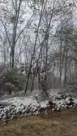 湖南彬州下雪了吗?彬州市天气情况-图3 湖南彬州下雪了吗?彬州市天气情况-图3