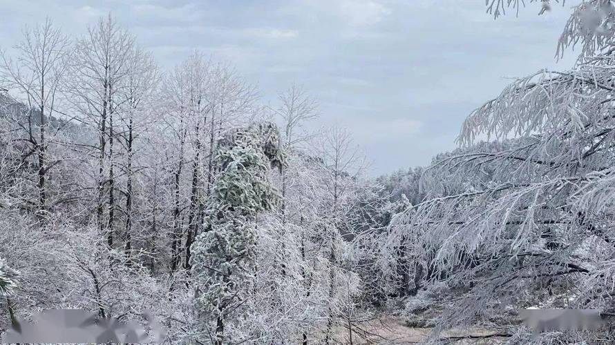 2023慈溪会下雪吗?在浙江慈溪天气情况-图3 2023慈溪会下雪吗?在浙江慈溪天气情况-图3