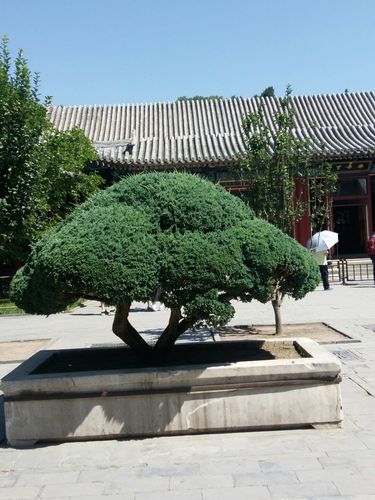 湖南桃江有什么特产?昨天桃江的天气情况-图2 湖南桃江有什么特产?昨天桃江的天气情况-图2