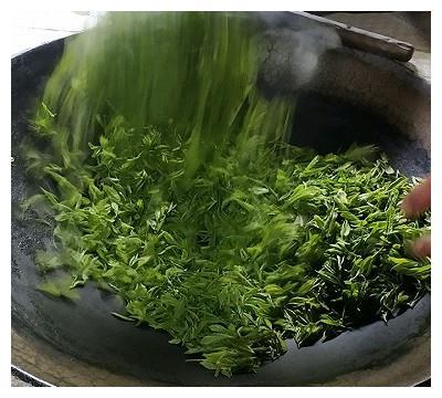 揭阳炒茶最正宗的做法?揭阳清明期间天气情况-图1 揭阳炒茶最正宗的做法?揭阳清明期间天气情况-图1