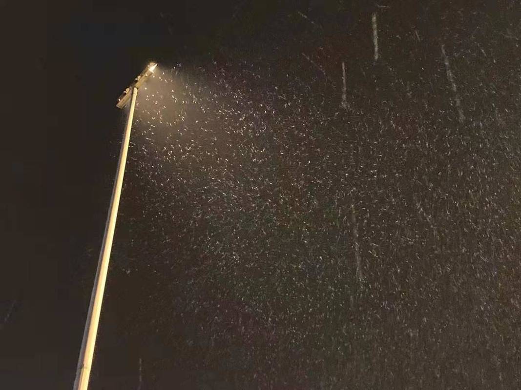 2021年11月9号,成都下雪了吗?成都9份天气情况-图3 2021年11月9号,成都下雪了吗?成都9份天气情况-图3