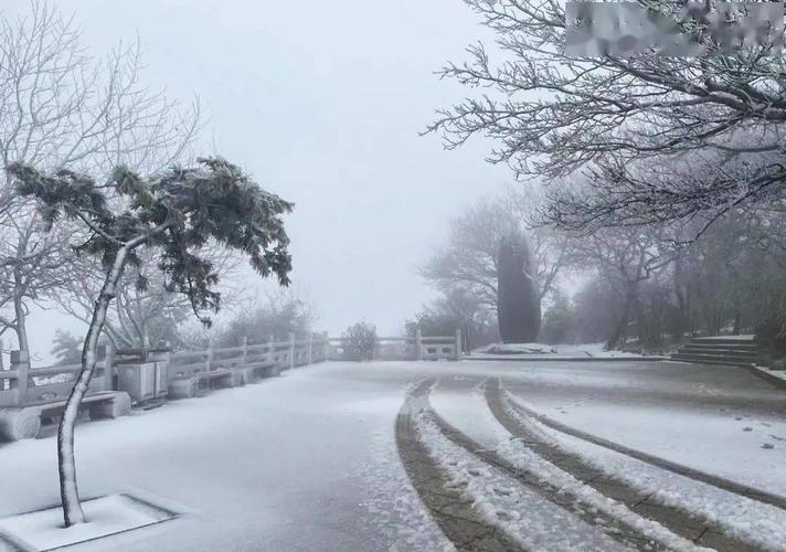 扬州下雪有积雪吗?现在扬州什么天气情况-图2 扬州下雪有积雪吗?现在扬州什么天气情况-图2
