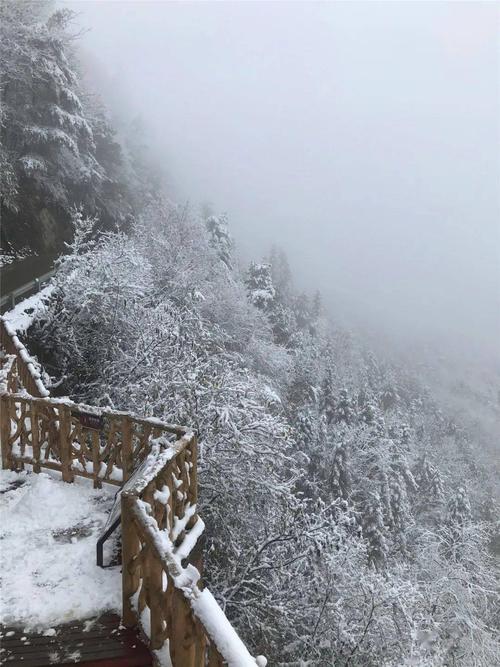 巴中今天下雪了吗?巴中19号天气情况-图2 巴中今天下雪了吗?巴中19号天气情况-图2