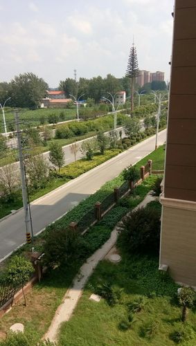 睢县黄城寨安置房开发商是谁?查看河南睢县天气情况-图3 睢县黄城寨安置房开发商是谁?查看河南睢县天气情况-图3