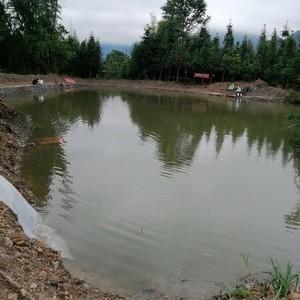 大化红水河钓鱼最佳地点?广西红水河现在天气情况-图2 大化红水河钓鱼最佳地点?广西红水河现在天气情况-图2