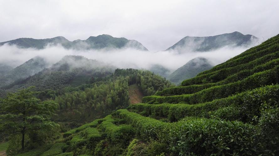 丽水遂昌十大特产?丽水景宁天气情况-图3 丽水遂昌十大特产?丽水景宁天气情况-图3