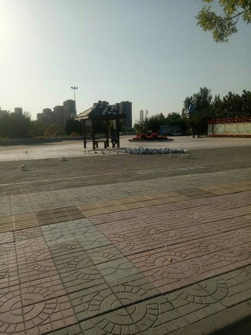 河北省黄骅市在张家口的南面北面?冬天冷不冷呢?河北沧州黄骅天气情况-图3 河北省黄骅市在张家口的南面北面?冬天冷不冷呢?河北沧州黄骅天气情况-图3