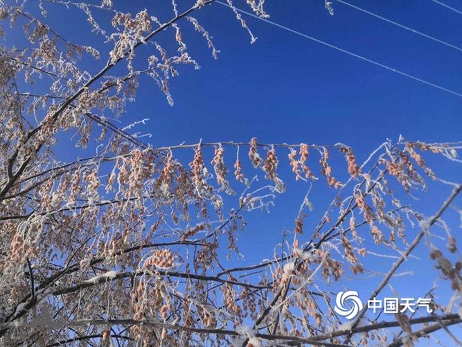 新疆阜康适合种植棉花吗?阜康冬天天气情况-图3 新疆阜康适合种植棉花吗?阜康冬天天气情况-图3