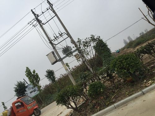 今年安徽利辛2O22年春节可放烟火爆竹吗包括农村?安徽利辛的天气情况-图3 今年安徽利辛2O22年春节可放烟火爆竹吗包括农村?安徽利辛的天气情况-图3