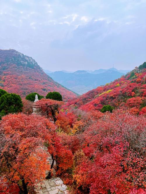 即墨马山红叶最佳时间？明天即墨马山天气情况-图3