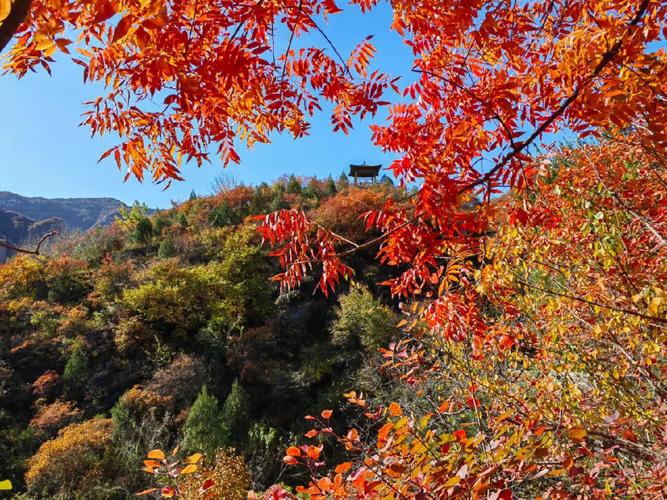 即墨马山红叶最佳时间？明天即墨马山天气情况-图2