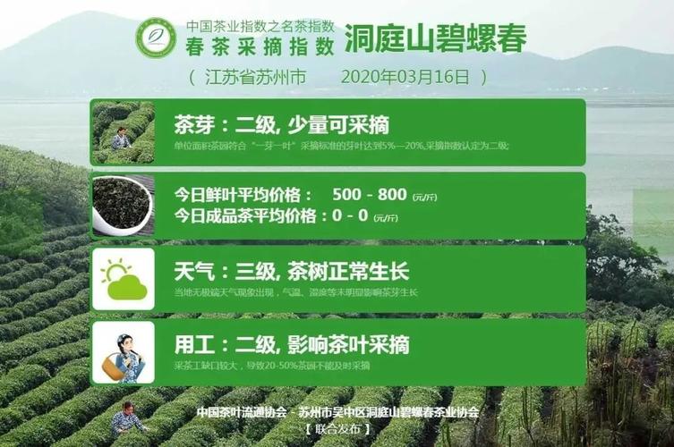 2022宜兴春茶何时上市?宜兴明天的天气情况-图3 2022宜兴春茶何时上市?宜兴明天的天气情况-图3