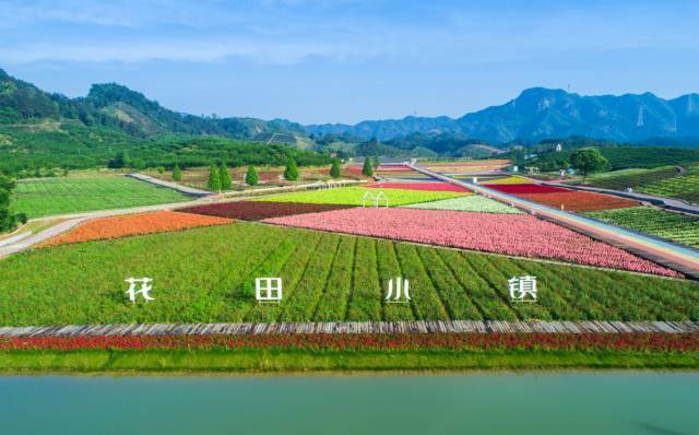 武义花田小镇几月去好？武义明天的天气情况