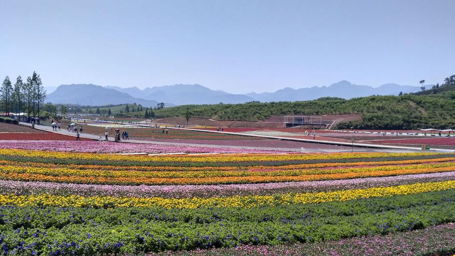 武义花田小镇几月去好？武义明天的天气情况-图3
