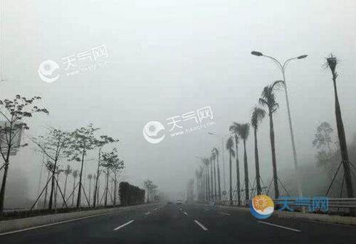 为什么连续几天都是大雾?全国大雾天气情况-图3 为什么连续几天都是大雾?全国大雾天气情况-图3