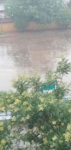 陇南今天下雨了吗?l陇南以往天气情况-图3 陇南今天下雨了吗?l陇南以往天气情况-图3