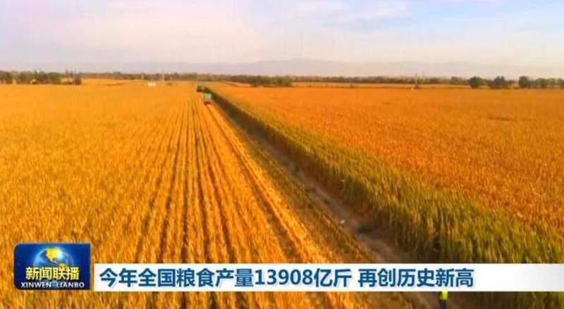 和单季稻相比双季稻的优势有哪些?春节龙田天气情况-图3 和单季稻相比双季稻的优势有哪些?春节龙田天气情况-图3