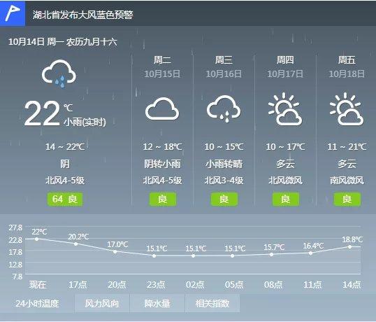 1995年元旦荆州天气？湖北江陵天气情况