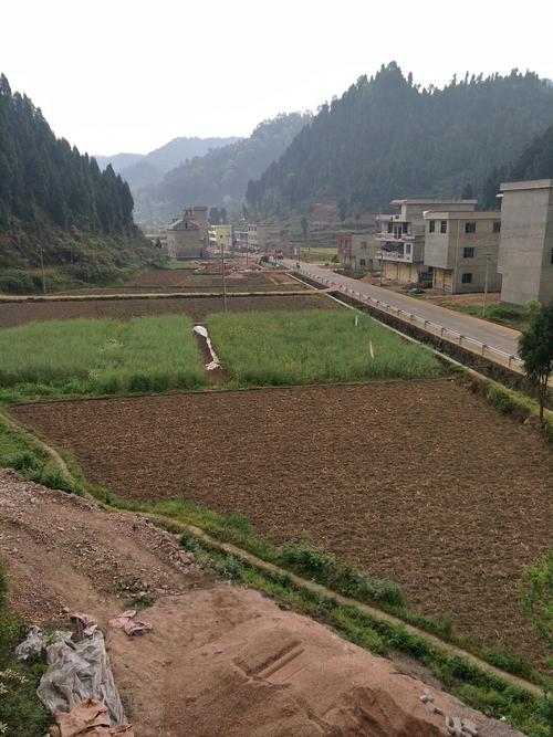 贵州省龙里县属于哪个市区？惠水县天气情况-图3