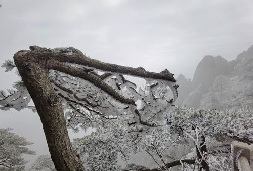 黄山山上现在结冰了吗?黄山旅游现在天气情况-图2 黄山山上现在结冰了吗?黄山旅游现在天气情况-图2