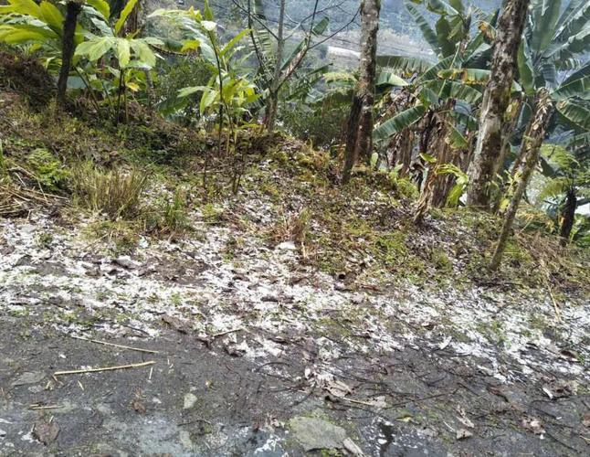云南最冷的5个县?贡山县历史天气情况-图3 云南最冷的5个县?贡山县历史天气情况-图3