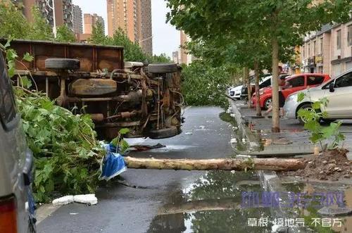 河北邯郸市今天下冰雹了吗?河北邯郸东部天气情况-图2 河北邯郸市今天下冰雹了吗?河北邯郸东部天气情况-图2