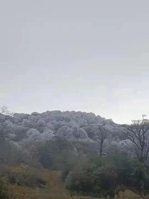 2023第一场柳州下雪吗?柳州29号天气情况-图2 2023第一场柳州下雪吗?柳州29号天气情况-图2