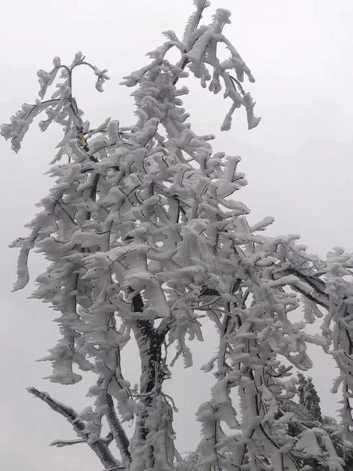 2023第一场柳州下雪吗？柳州29号天气情况