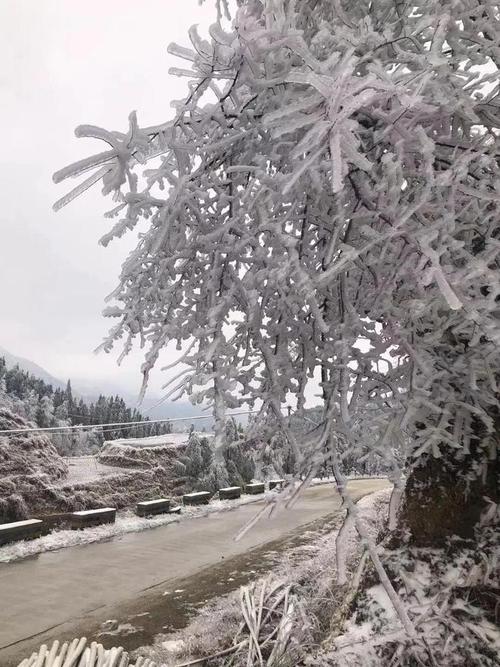 2023第一场柳州下雪吗?柳州29号天气情况-图3 2023第一场柳州下雪吗?柳州29号天气情况-图3