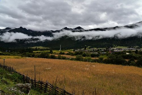 西藏林芝一年四季都啥温度？9月林芝天气情况-图3