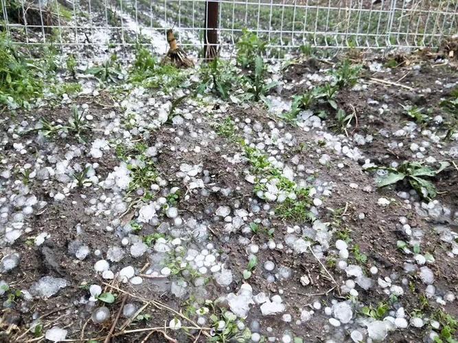 榆树今天下冰雹了吗?榆树市天气情况-图3 榆树今天下冰雹了吗?榆树市天气情况-图3