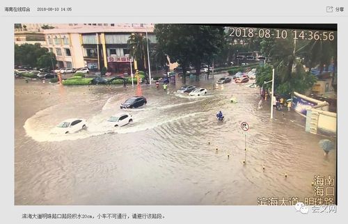 沙洲木兰断水原因?木兰后天天气情况-图1 沙洲木兰断水原因?木兰后天天气情况-图1