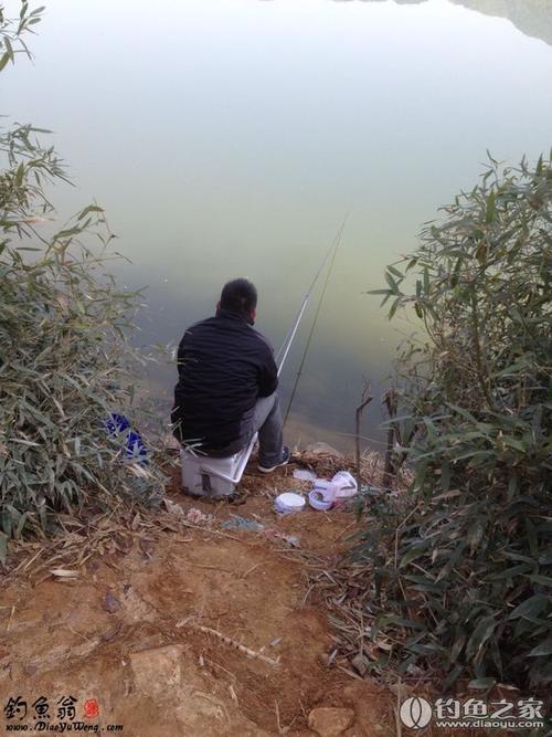 永嘉桥下钓鱼是好钓点吗?永嘉明天天气情况-图2 永嘉桥下钓鱼是好钓点吗?永嘉明天天气情况-图2