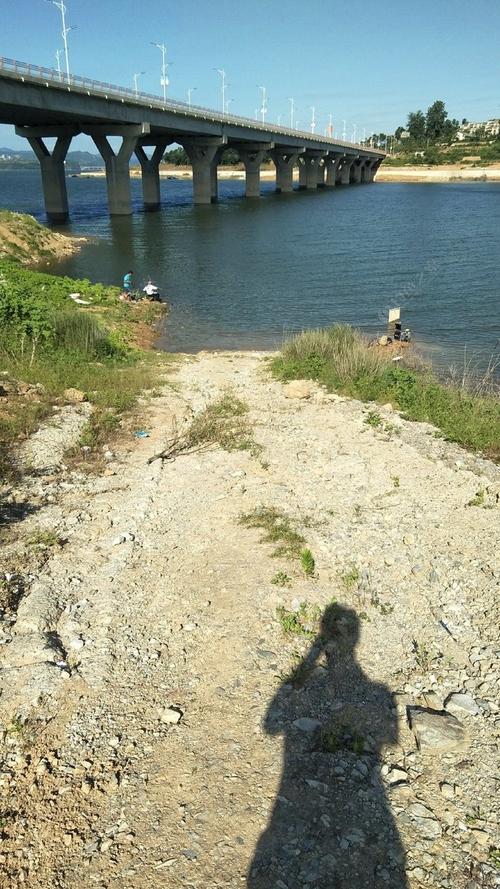 永嘉桥下钓鱼是好钓点吗?永嘉明天天气情况-图3 永嘉桥下钓鱼是好钓点吗?永嘉明天天气情况-图3