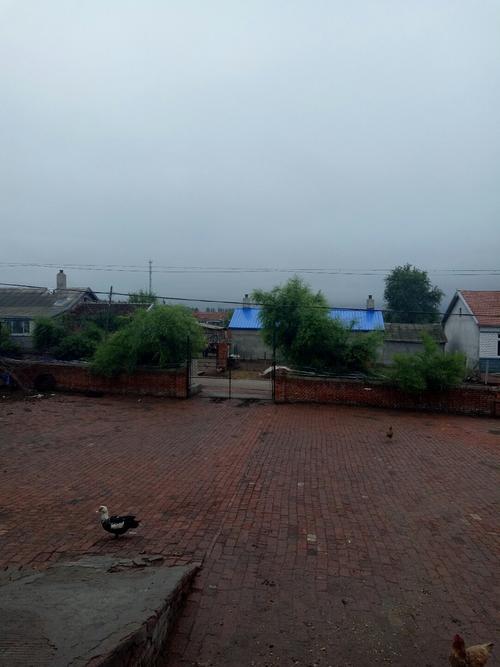 请问绥化市北林区双河镇向阳村怎么没有电呢？今天北林区天气情况-图2
