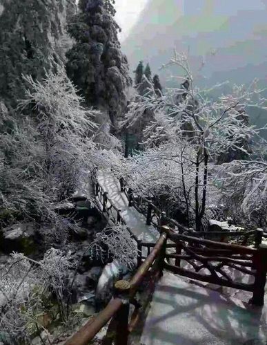 湖南雪峰山下雪了吗？湖南雪峰山天气情况
